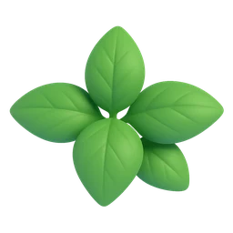 Basil